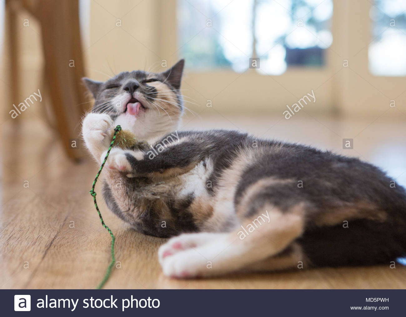 Muted Stock Photos & Muted Stock Images Alamy