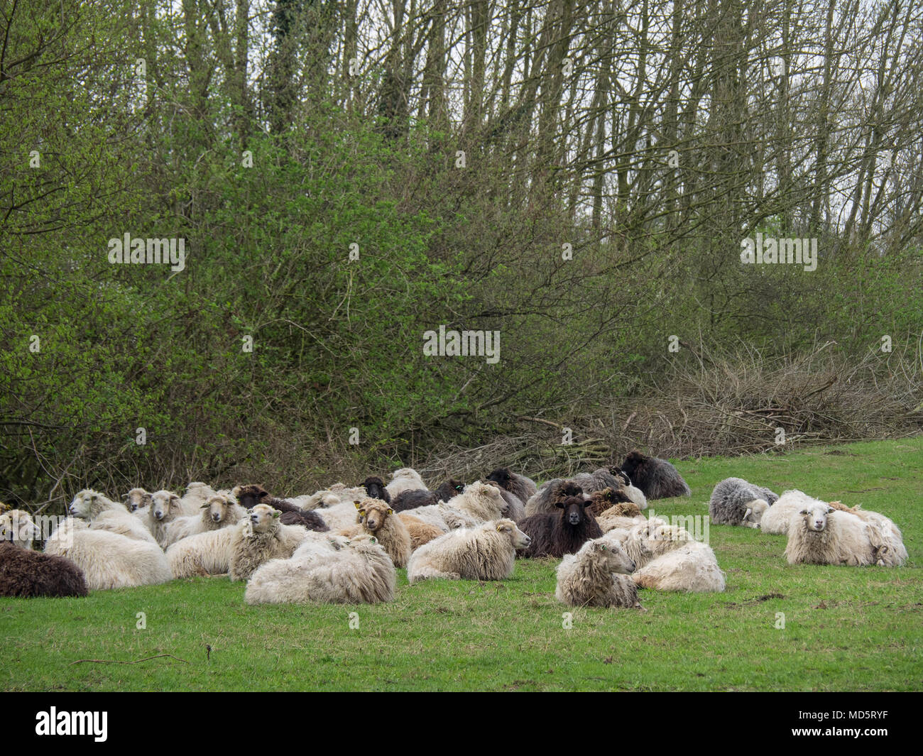 Rekken hi-res stock photography and images - Alamy