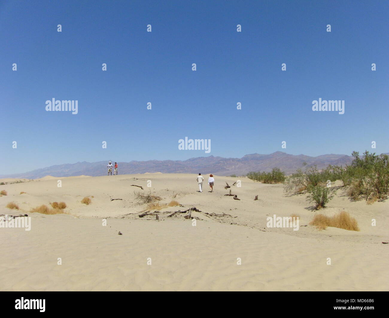 People walking sand dunes hi-res stock photography and images - Alamy