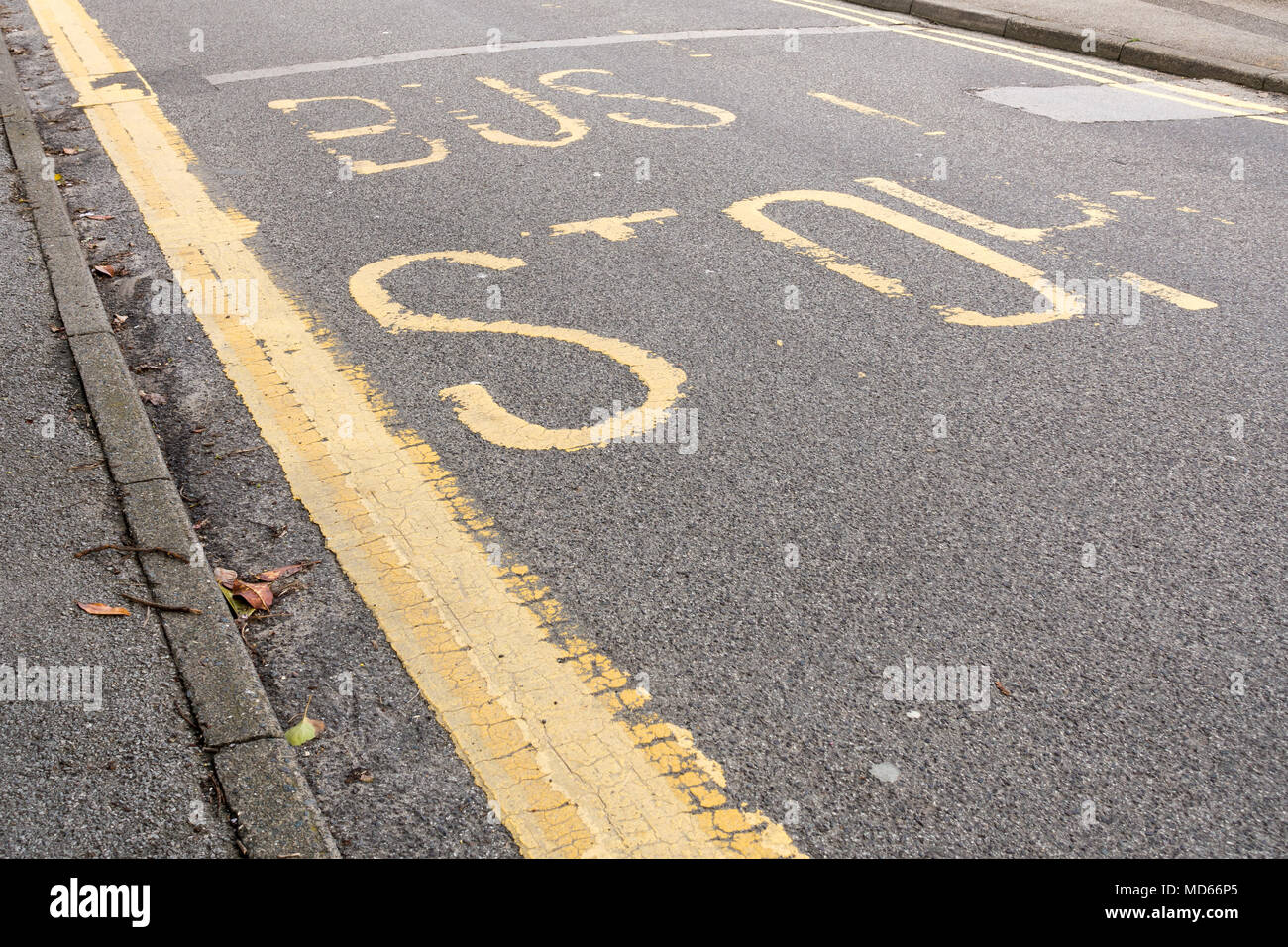 Road markings at bus stop hires stock photography and images Alamy