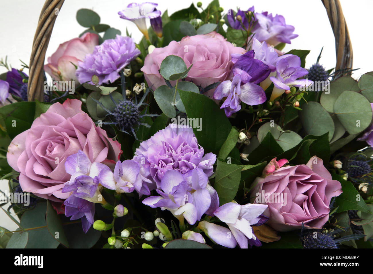 Bouquet of Flowers Mauve Roses And Freesias with Sea Holly in Basket Stock Photo