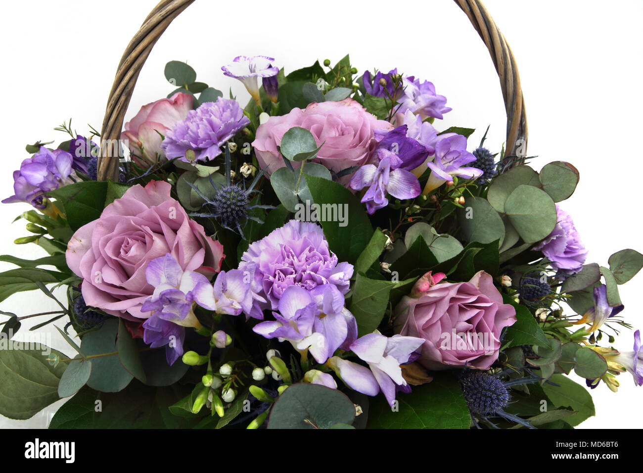 Bouquet of Flowers Mauve Roses And Freesias with Sea Holly in Basket Stock Photo