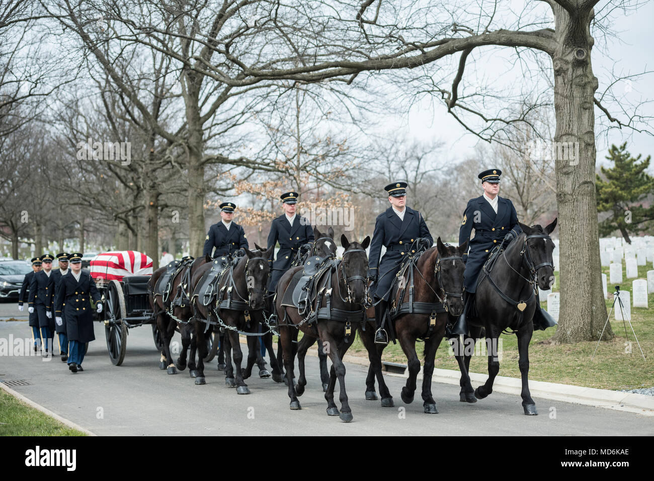 3d oregon infantry hi-res stock photography and images - Alamy