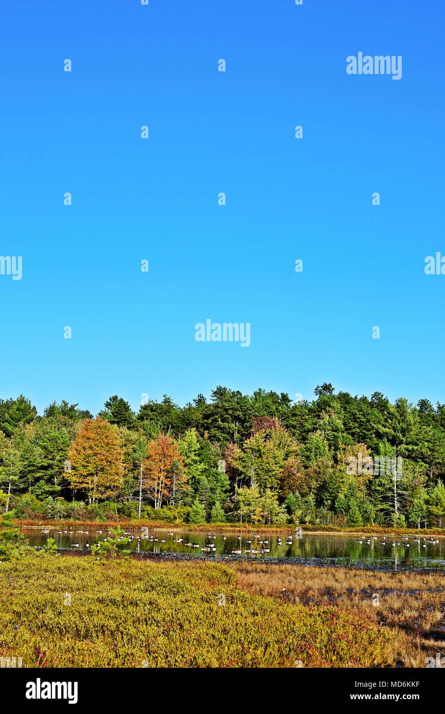 Vertical canadian landscape hi-res stock photography and images - Alamy