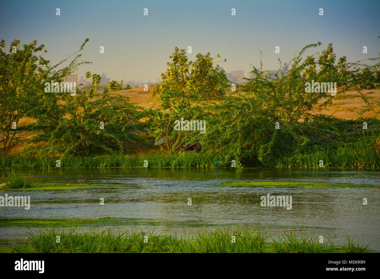 green valley river, Jeddah - Saudi arabia Stock Photo