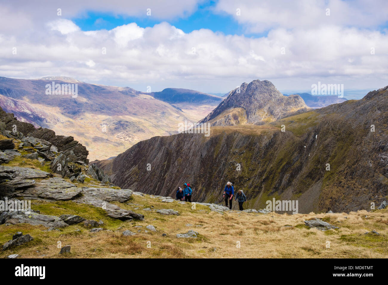 Hikers hiking up Seniors Ridge in Glyderau mountains with Y Gribin ridge and mt Tryfan beyond in Snowdonia National Park. Ogwen, Wales, UK, Britain Stock Photo