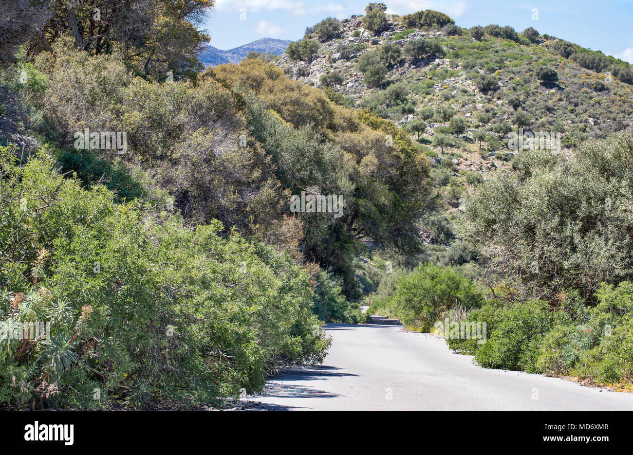 A mountain road on Crete, Greece. Scenic landscape, green hills, blue ...