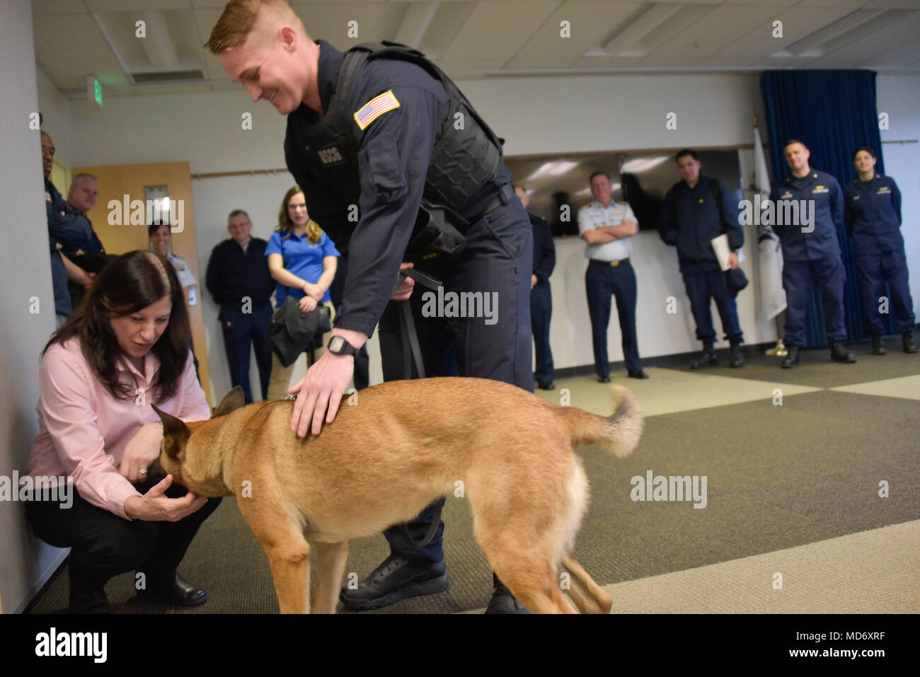 Department of homeland security k9 hires stock photography and images