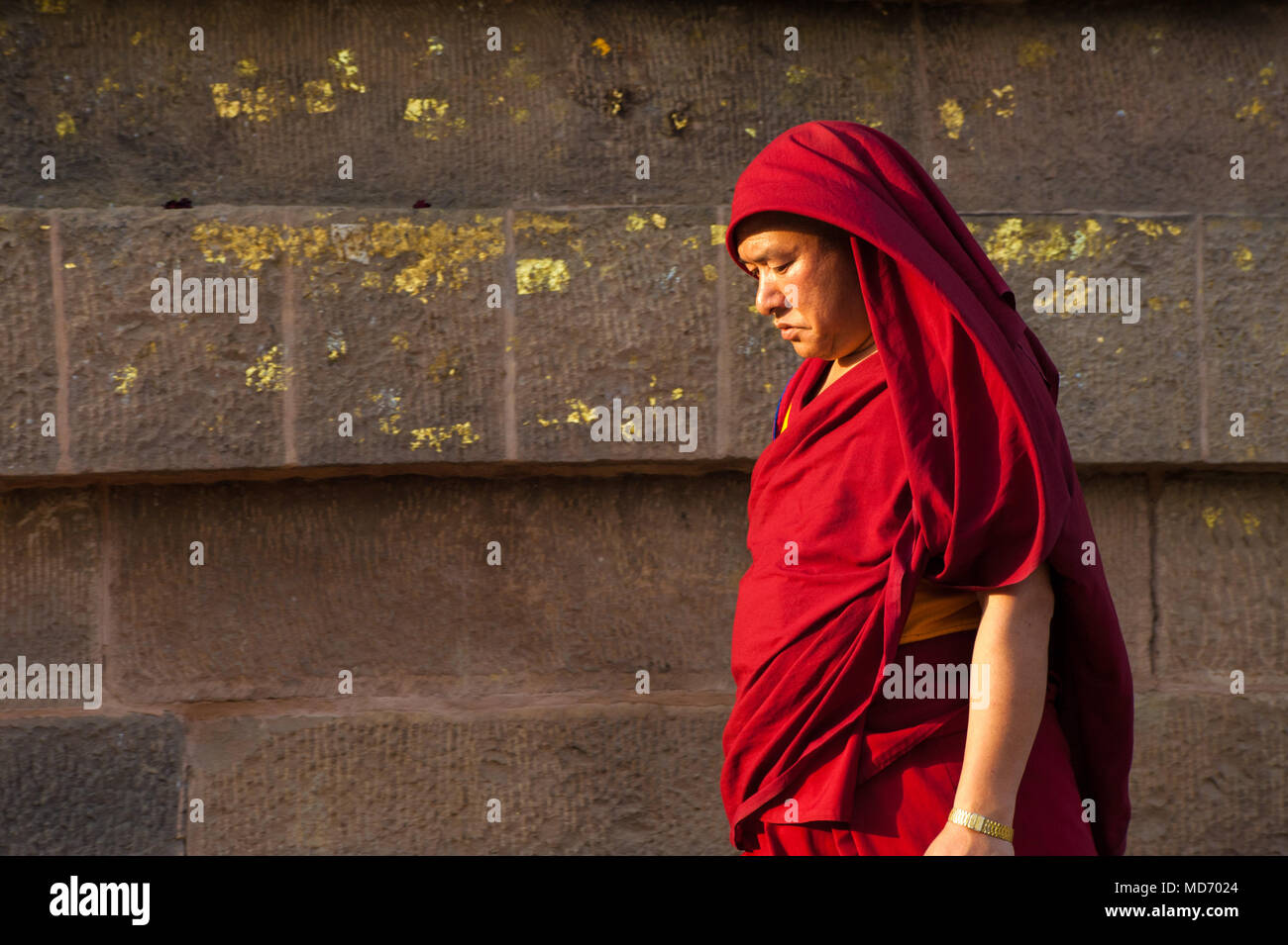 A Tibetan monk walking around the Dhamek Stupa at Sarnath Stock Photo