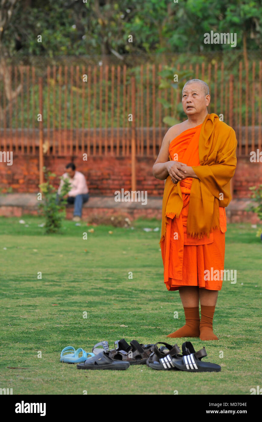 A Buddhist monk prays in the grounds of Dhamek Stupa at Sarnath Stock Photo