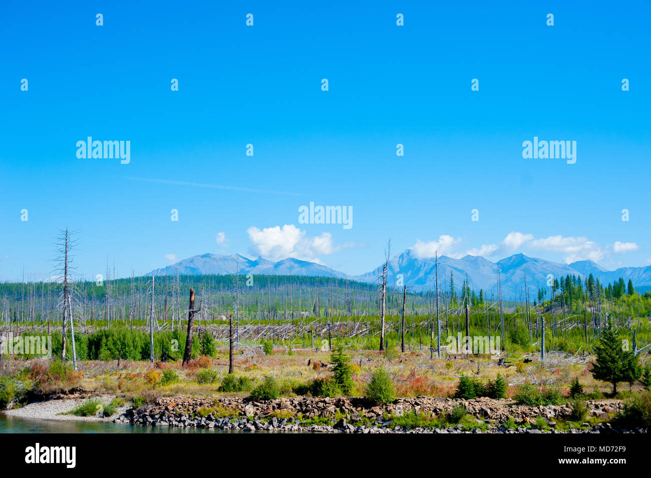 Mountains at ''Yellowstone National Park'' is located in the U.S