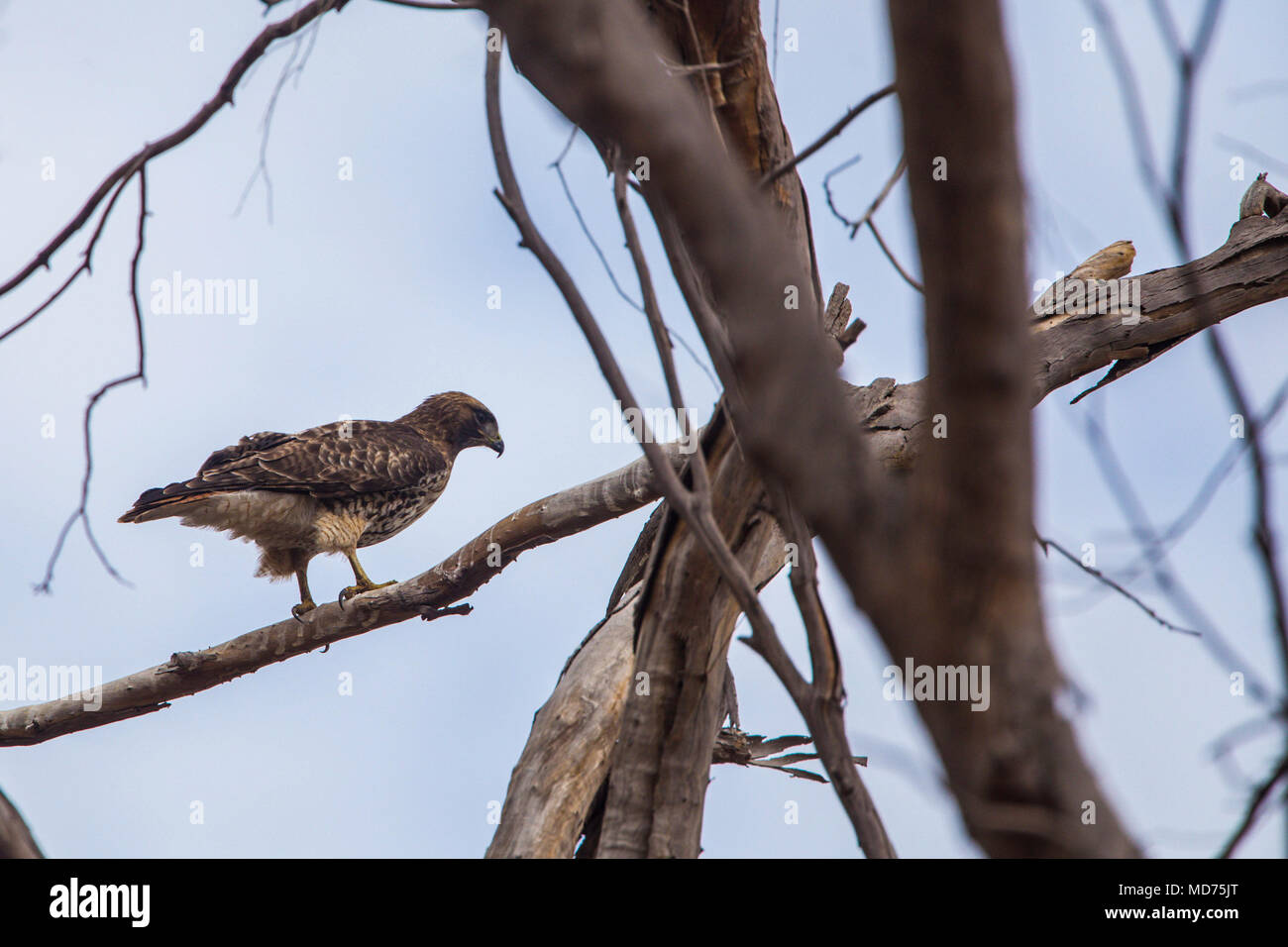 Visto la vida hi-res stock photography and images - Alamy