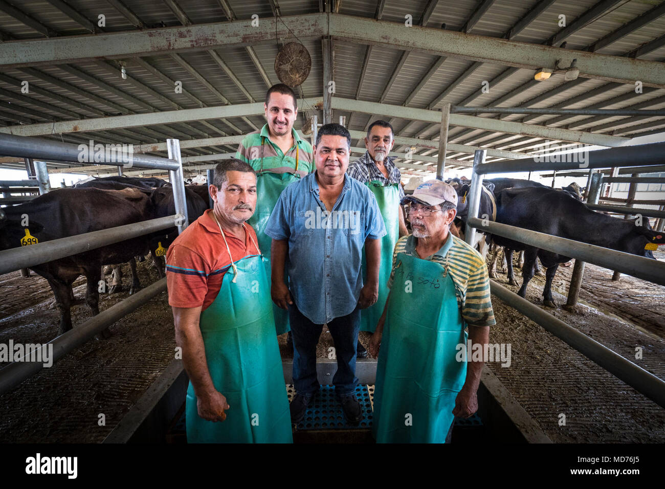 Vaqueria Ceiba Del Mar In Arecibo Puerto Rico Is One Of The Largest Dairy Producers On The Island And Was A Recipients Of The New Dairy Assistance Program Due To Hurricane Maria