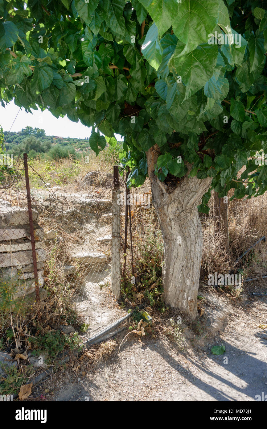 Grass field old fence hi-res stock photography and images - Alamy