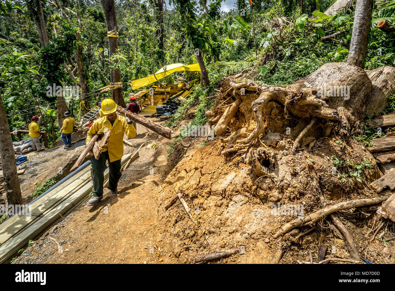 Six months after Hurricane Maria, only a small portion of El Yunque National Forest, Puerto Rico, is available to the public. Elsewhere, in the park contractors are working to get the forest ready for visitors throughout. Before a zipline and boardwalk was installed, workers has to hand-carry supplies up and down the steep forest hills to repair a water system that was damaged. Stock Photo