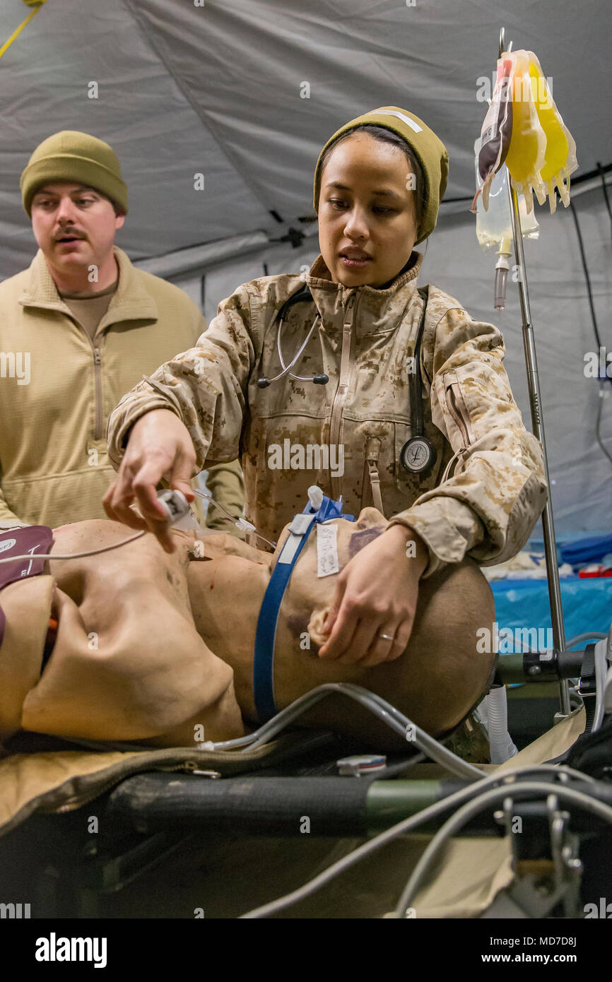 U.S. Navy Lt. Cmdr. Natasha Williams, with 2nd Medical Battalion, 2nd Marine Logistics Group, checks a simulated casualty’s vital signs during a training exercise on Camp Lejeune, N.C., March 22, 2018. The exercise was designed to prepare the Sailors for real world casualty scenarios. (U.S. Marine Corps photo by Lance Cpl. Tyler W. Stewart) Stock Photo