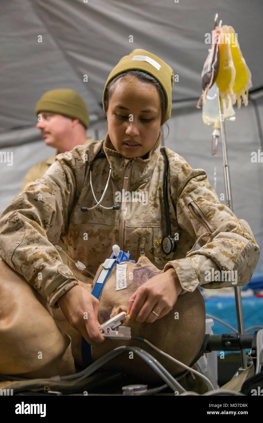 U.S. Navy Lt. Cmdr. Natasha Williams, with 2nd Medical Battalion, 2nd Marine Logistics Group, checks a simulated casualty’s vital signs during a training exercise on Camp Lejeune, N.C., March 22, 2018. The exercise was designed to prepare the Sailors for real world casualty scenarios. (U.S. Marine Corps photo by Lance Cpl. Tyler W. Stewart) Stock Photo