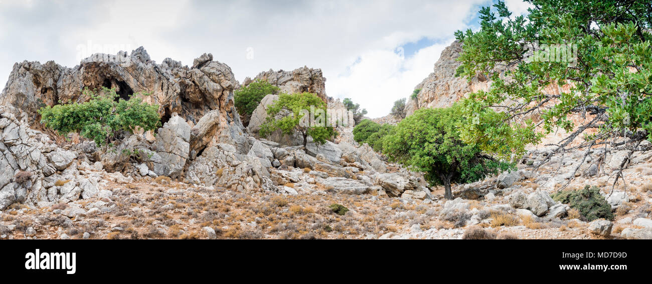 Plant growing on rocky hill against sky, Crete, Greece Stock Photo - Alamy