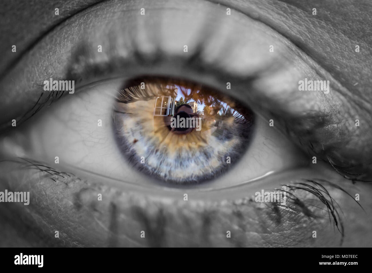 Human eye close up black and white hi-res stock photography and images ...