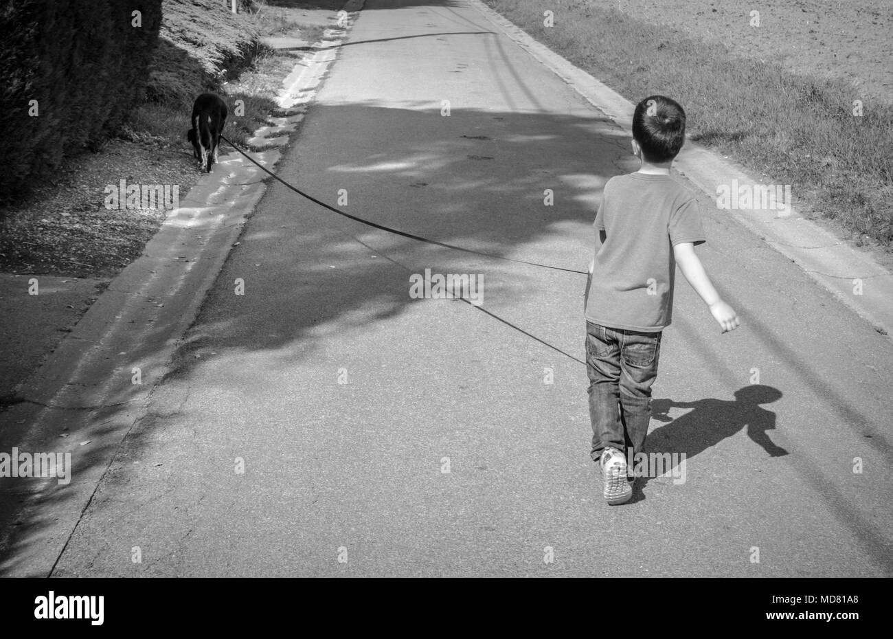 Boy walking with pet dog on footpath Stock Photo