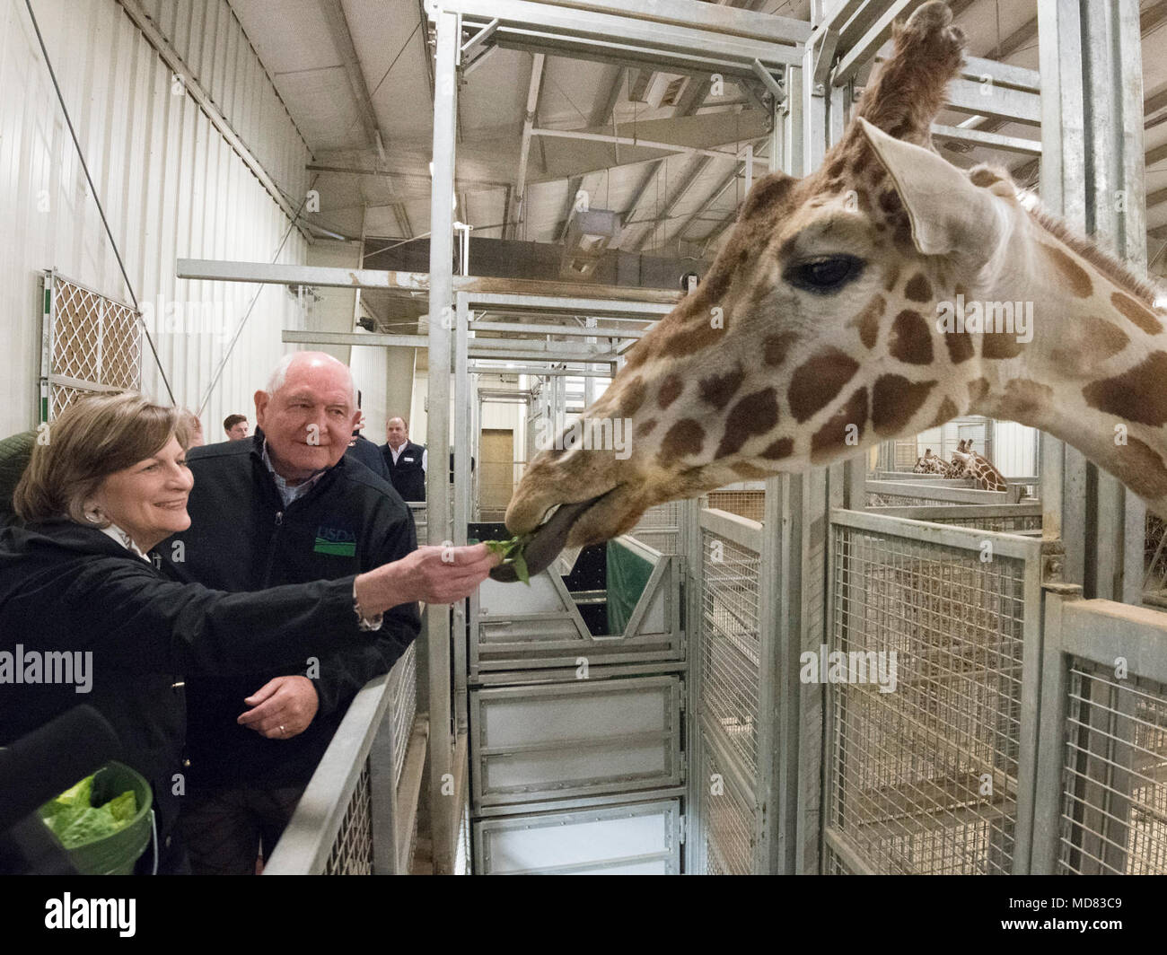 . Secretary of Agriculture Sonny Perdue met with USDA employees and Columbus Zoo and Aquarium administration and staff who provided information about the animals and their care, during the zoo's USDA Family . Secretary of Agriculture Sonny Perdue met with USDA employees and Columbus Zoo and Aquarium administration and staff who provided information about the animals and their care, during the zoo's USDA Family