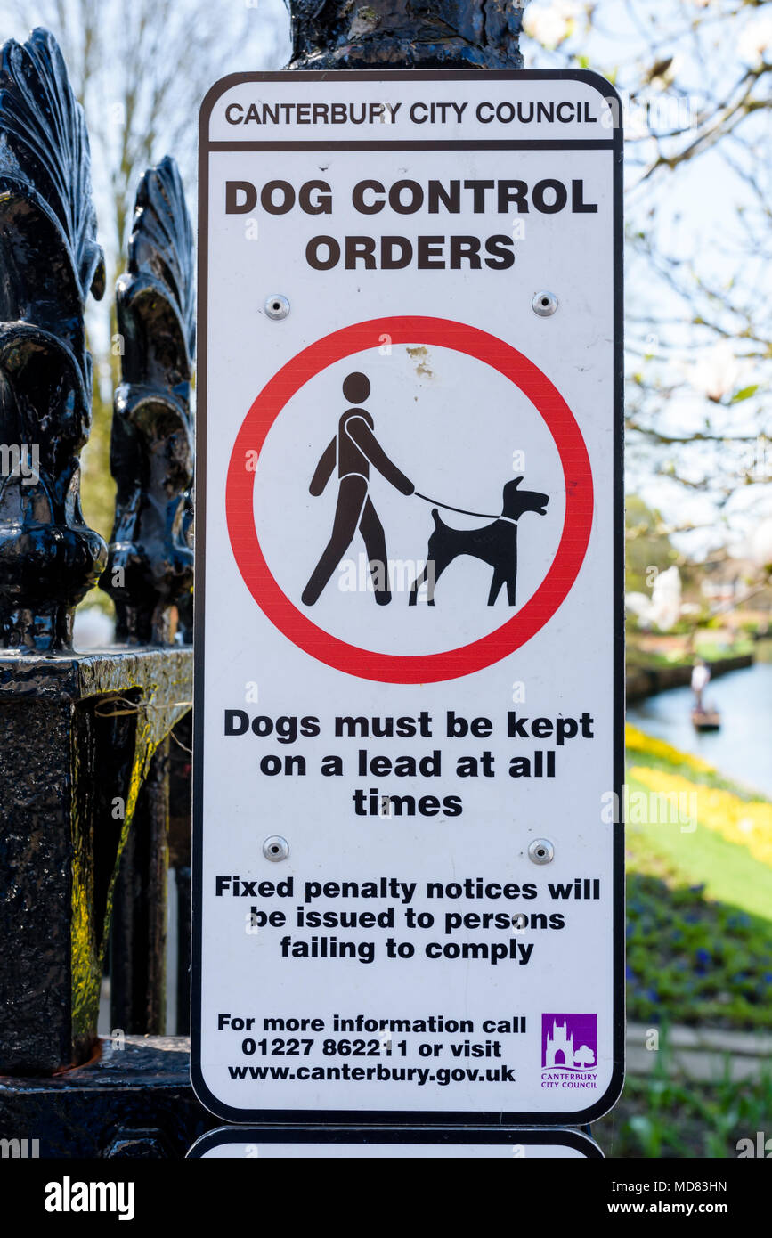 Dog Warning Sign Stock Photo