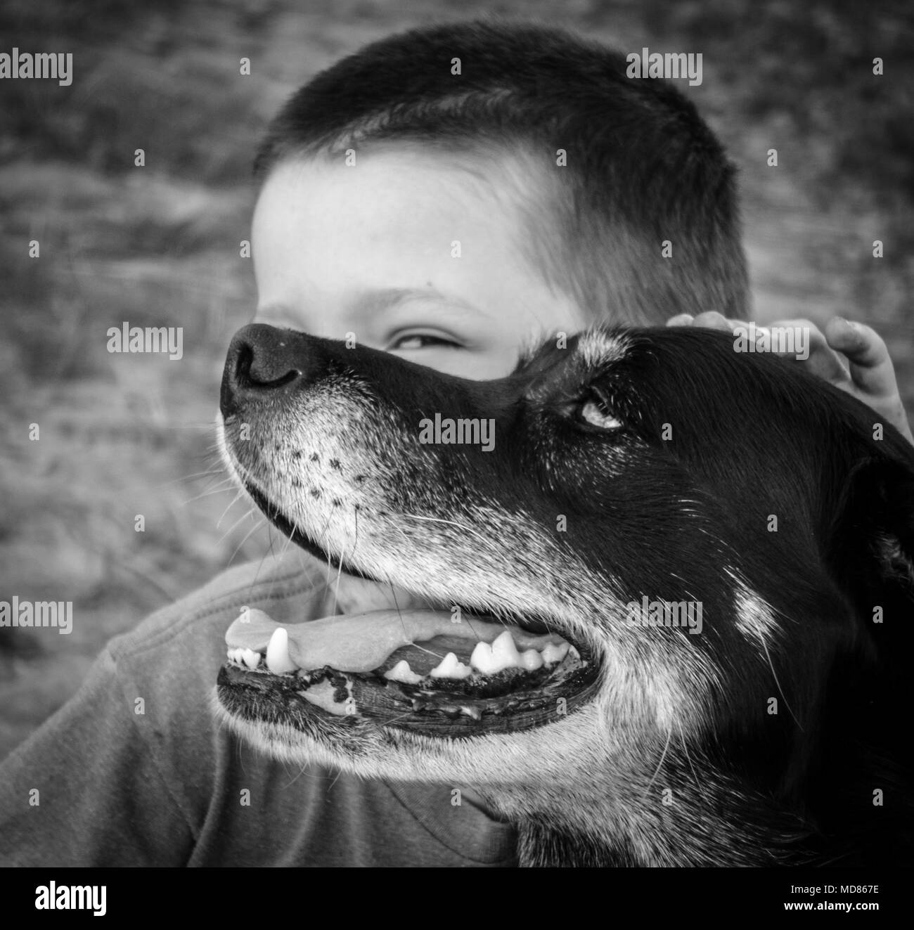 Close-up of boy with dog Stock Photo