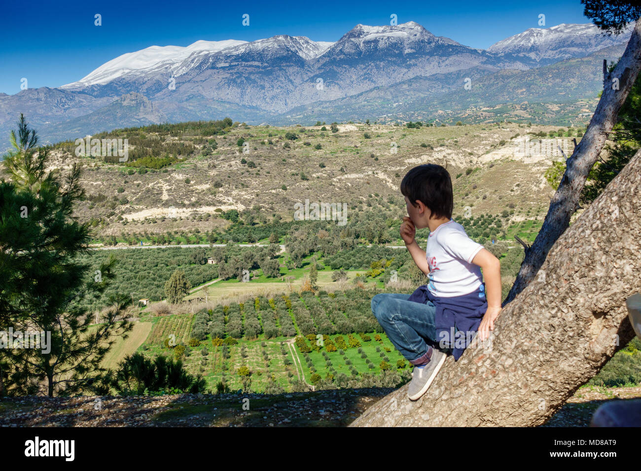 Boy watching farming landscape from the tree trunk, Greece Stock Photo