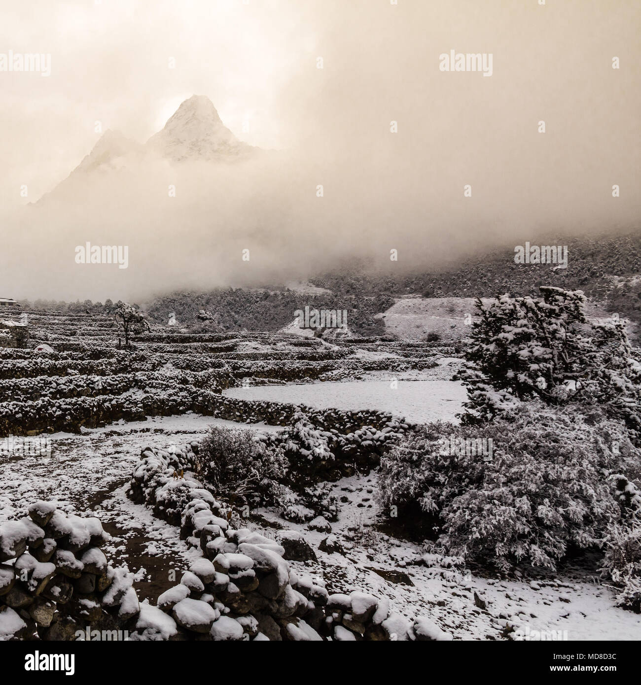 With fresh snow covering rock walls and fields in foreground, iconic shape of Ama Dablam mountain appears briefly through a gap in the clouds, Nepal Stock Photo