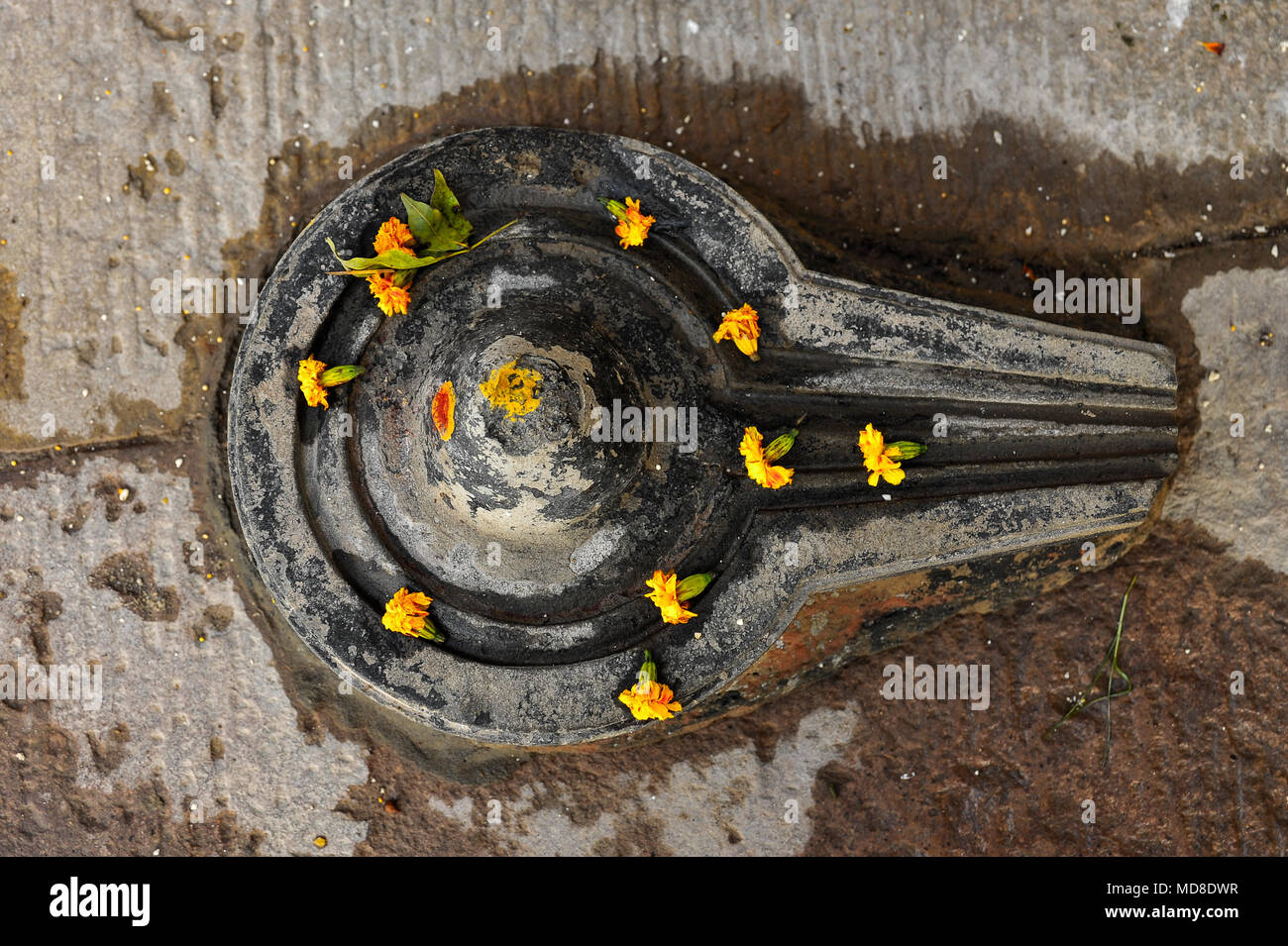 A Shiva lingum decorated with marigolds Stock Photo