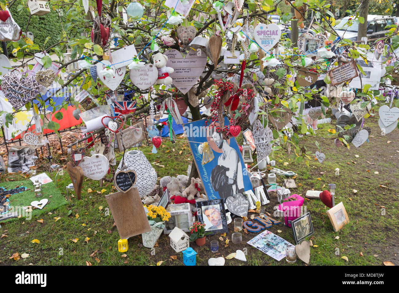 A tree festooned with messages at an impromptu memorial or shrine to pop star Michael