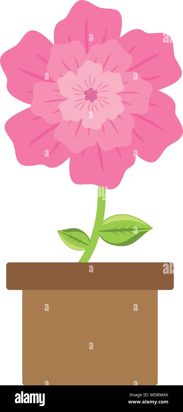 flower plant in a pot over white background, colorful design. vector ...
