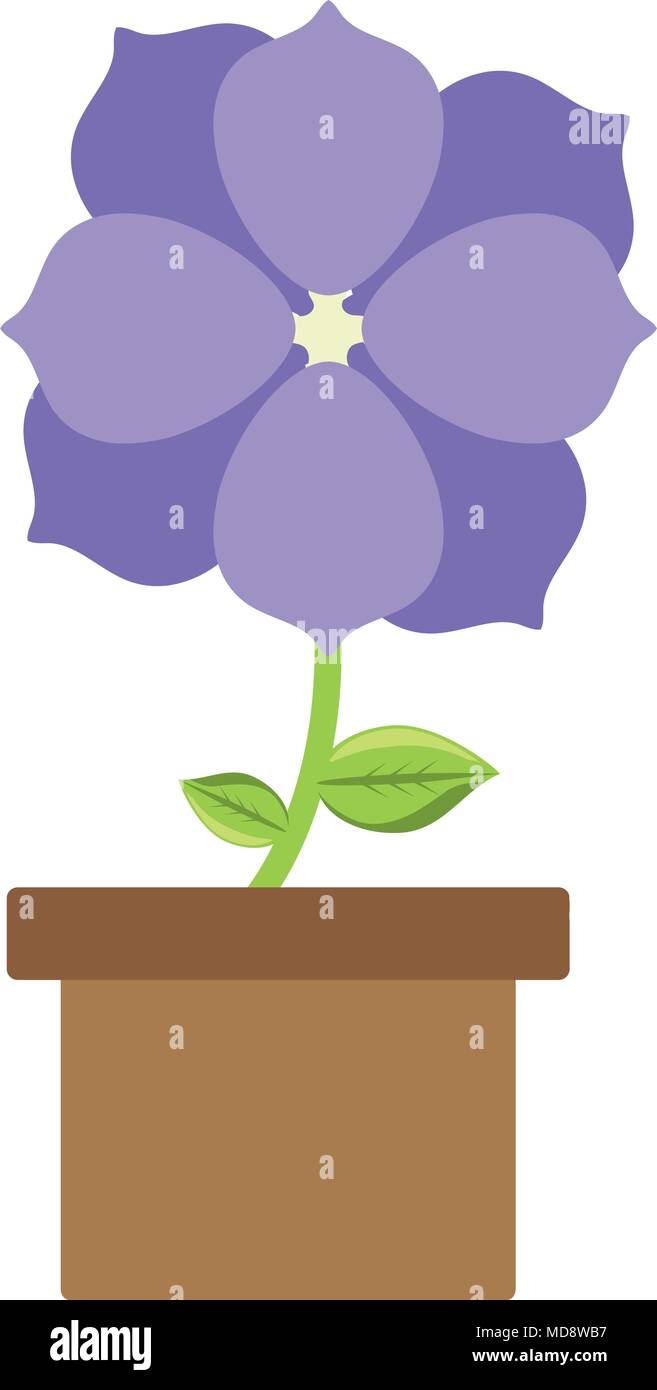 flower plant in a pot over white background, colorful design. vector ...