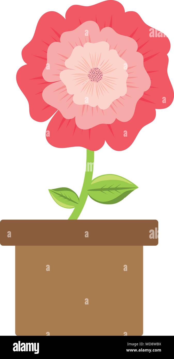 flower plant in a pot over white background, colorful design. vector ...