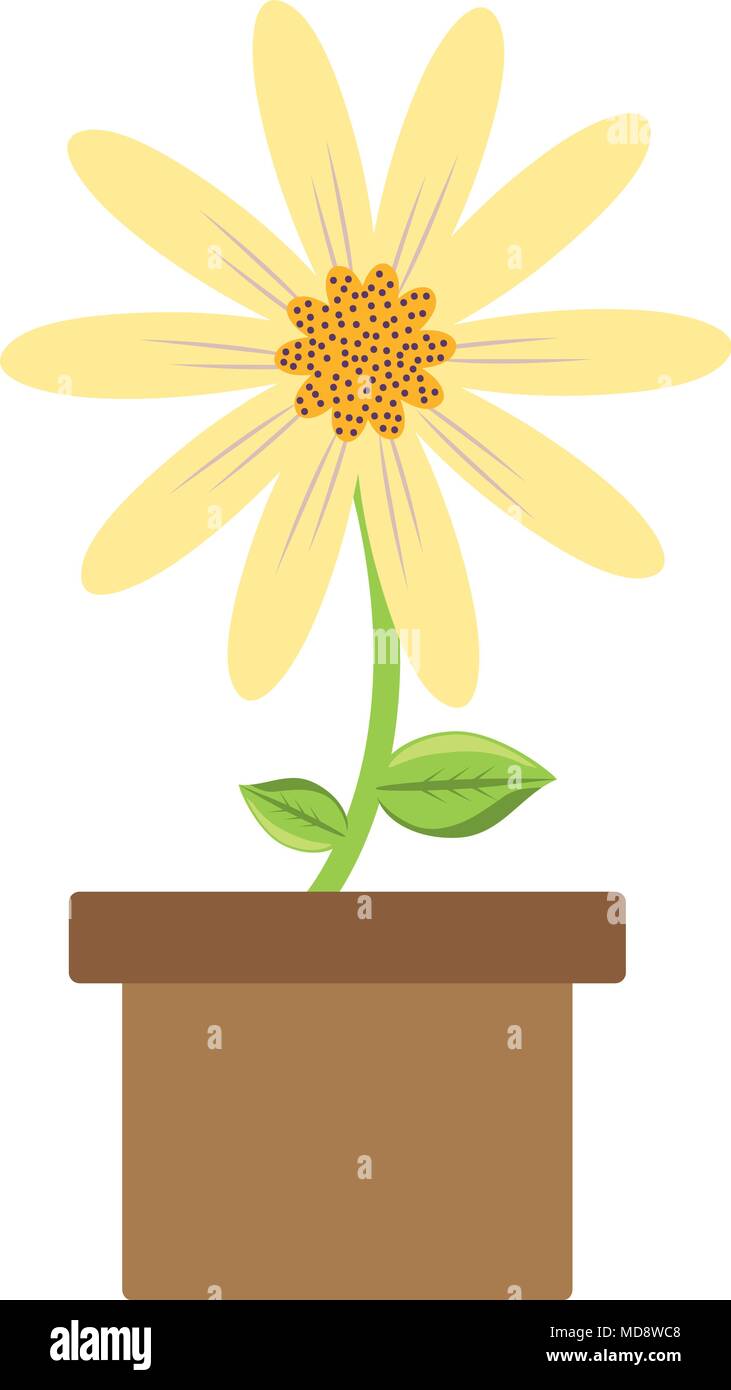 flower plant in a pot over white background, colorful design. vector ...