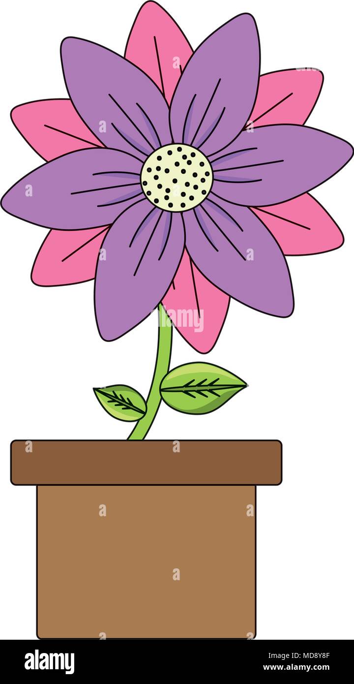 flower plant in a pot over white background, colorful design. vector ...