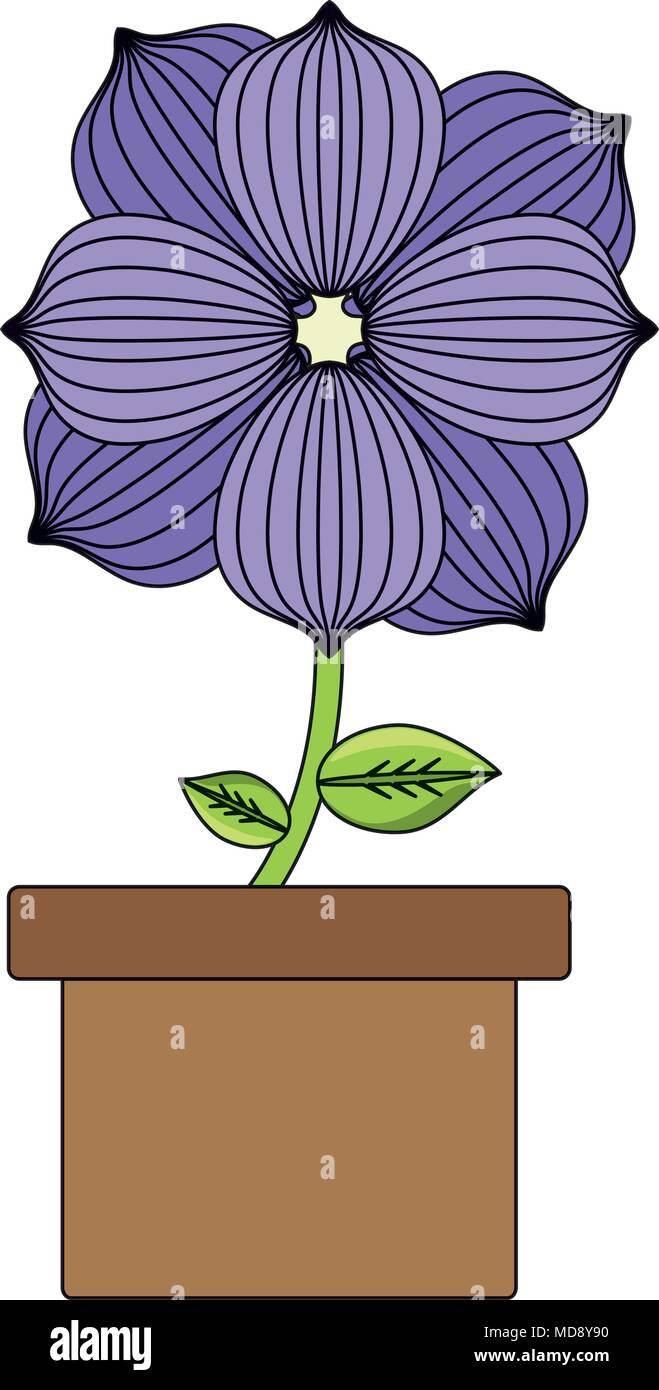beautiful flower in a pot over white background, colorful design ...
