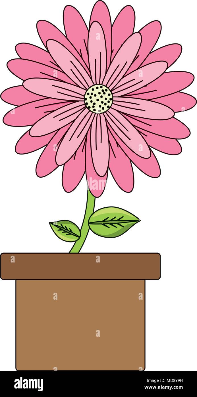 flower plant in a pot over white background, colorful design. vector ...