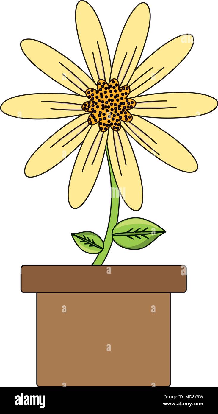 beautiful flower in a pot over white background, colorful design ...