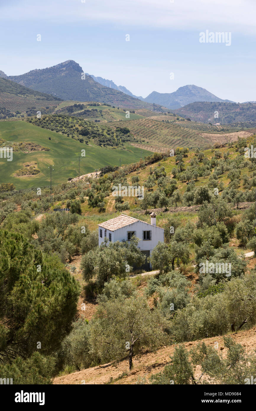 Andalucian landscape with farmhouse near Olvera, Cadiz province, Andalucia, Spain, Europe Stock Photo