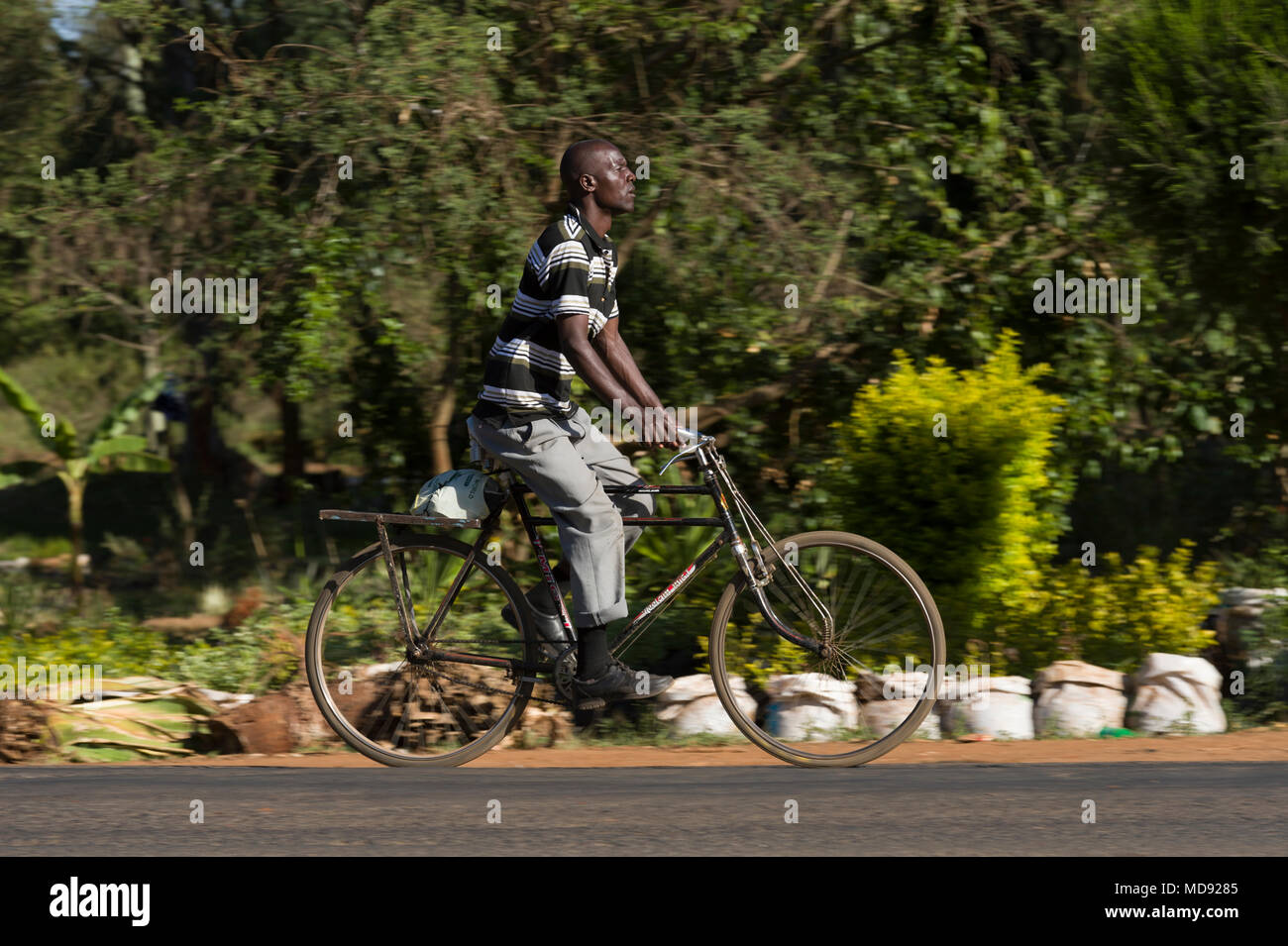 Black mamba cheap bike