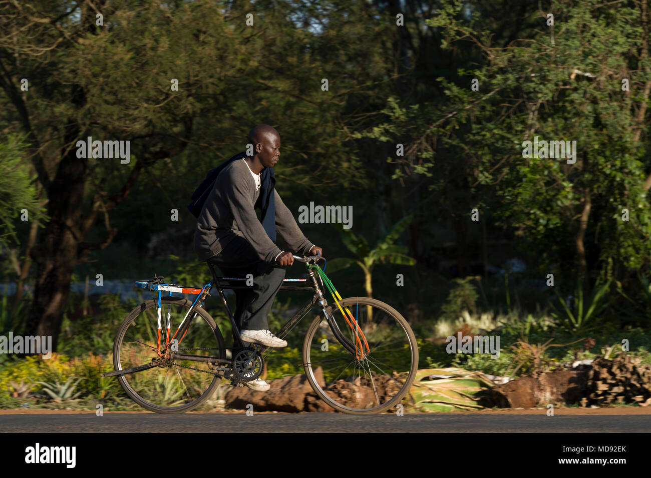 A cyclist rides a traditional roadster-style bicycle, commonly called a ...