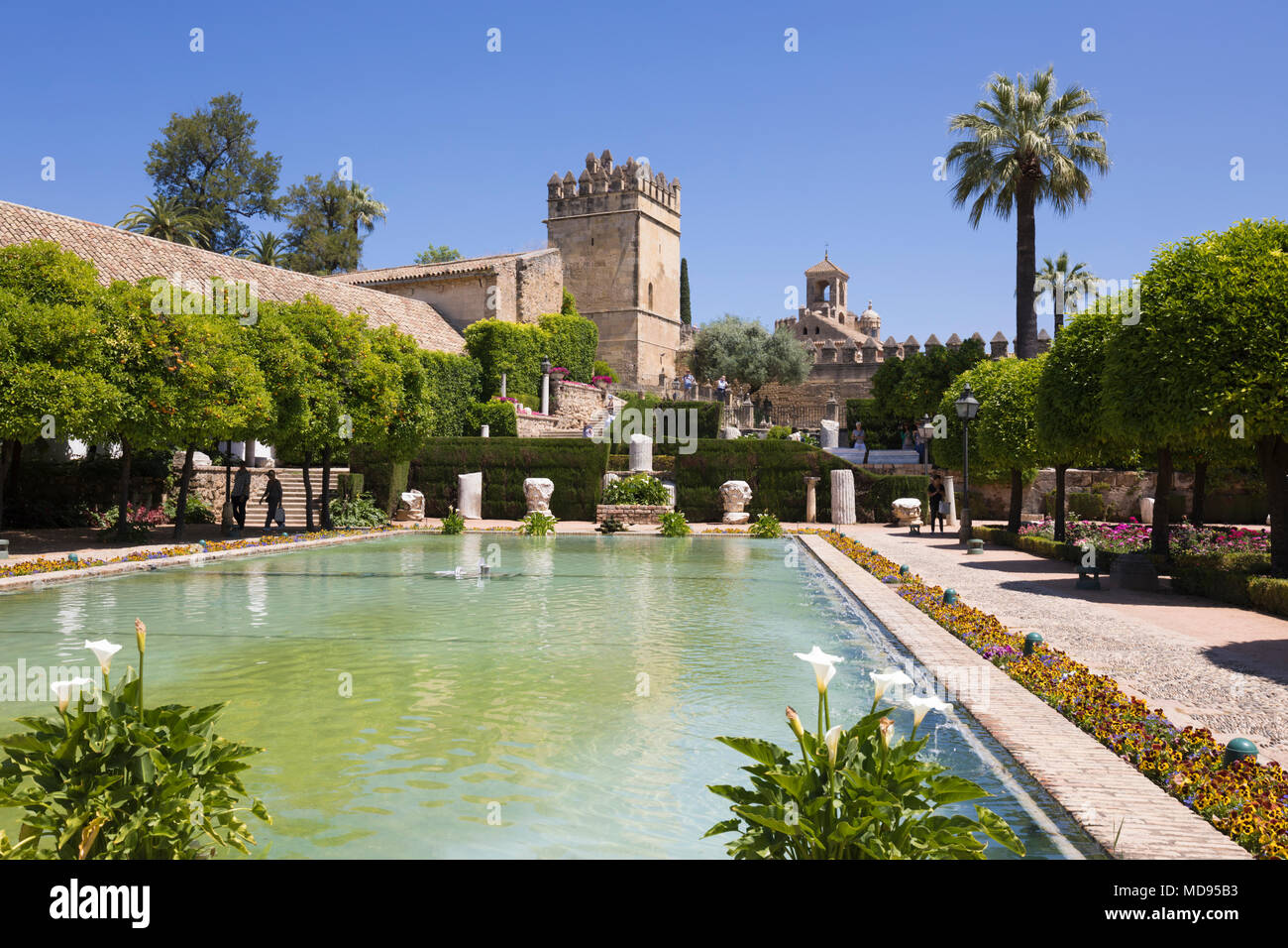 Gardens of the Alcazar de Los Reyes Cristianos, Cordoba, Andalucia, Spain, Europe Stock Photo