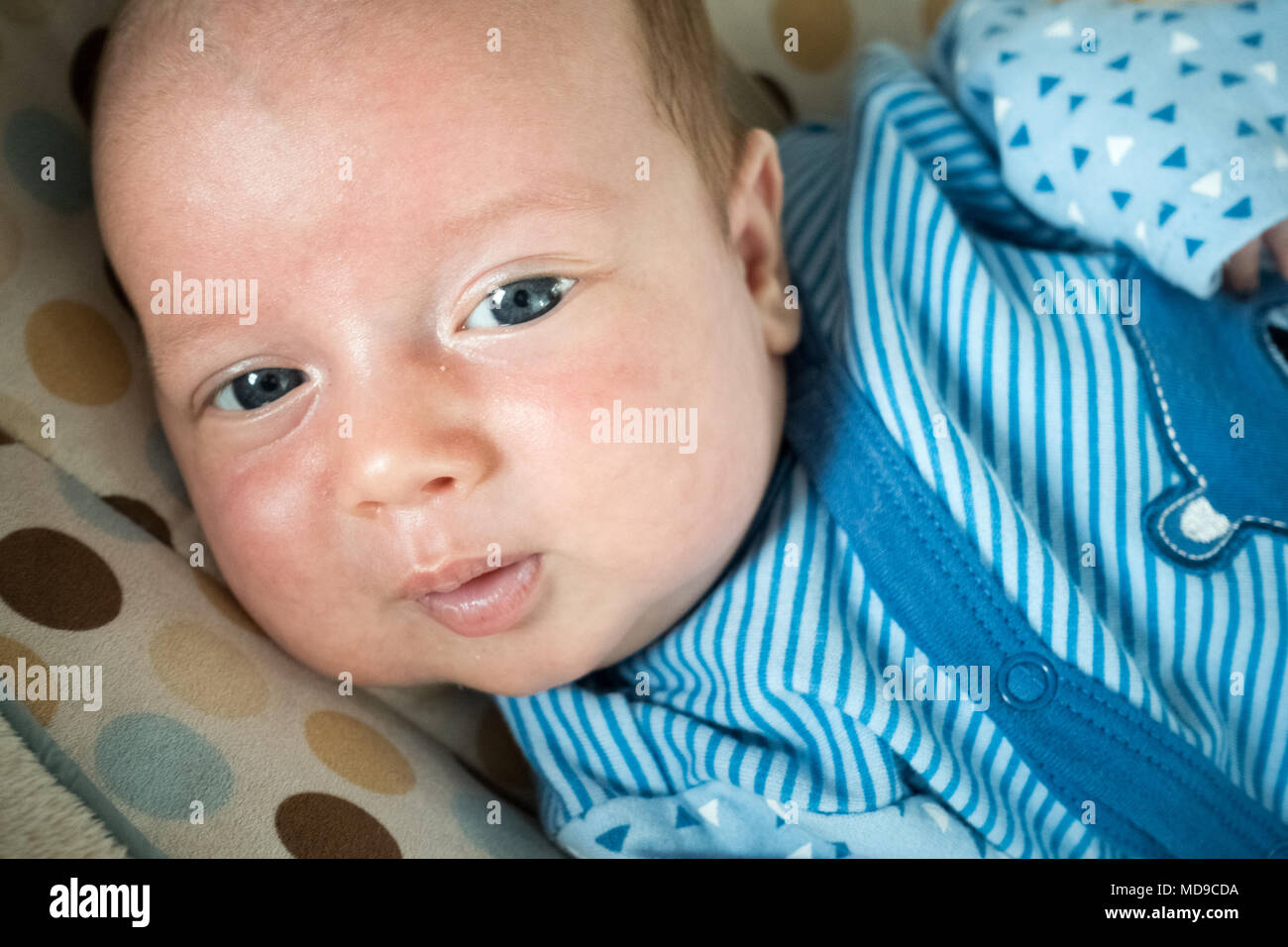 Close-up of cute newborn baby boy lying on bed Stock Photo