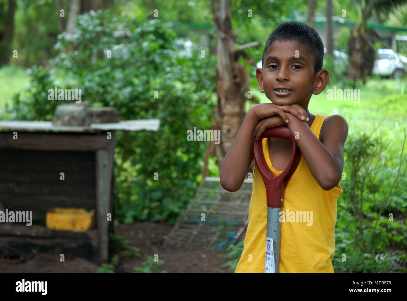 Five years old boy brown hi-res stock photography and images - Alamy