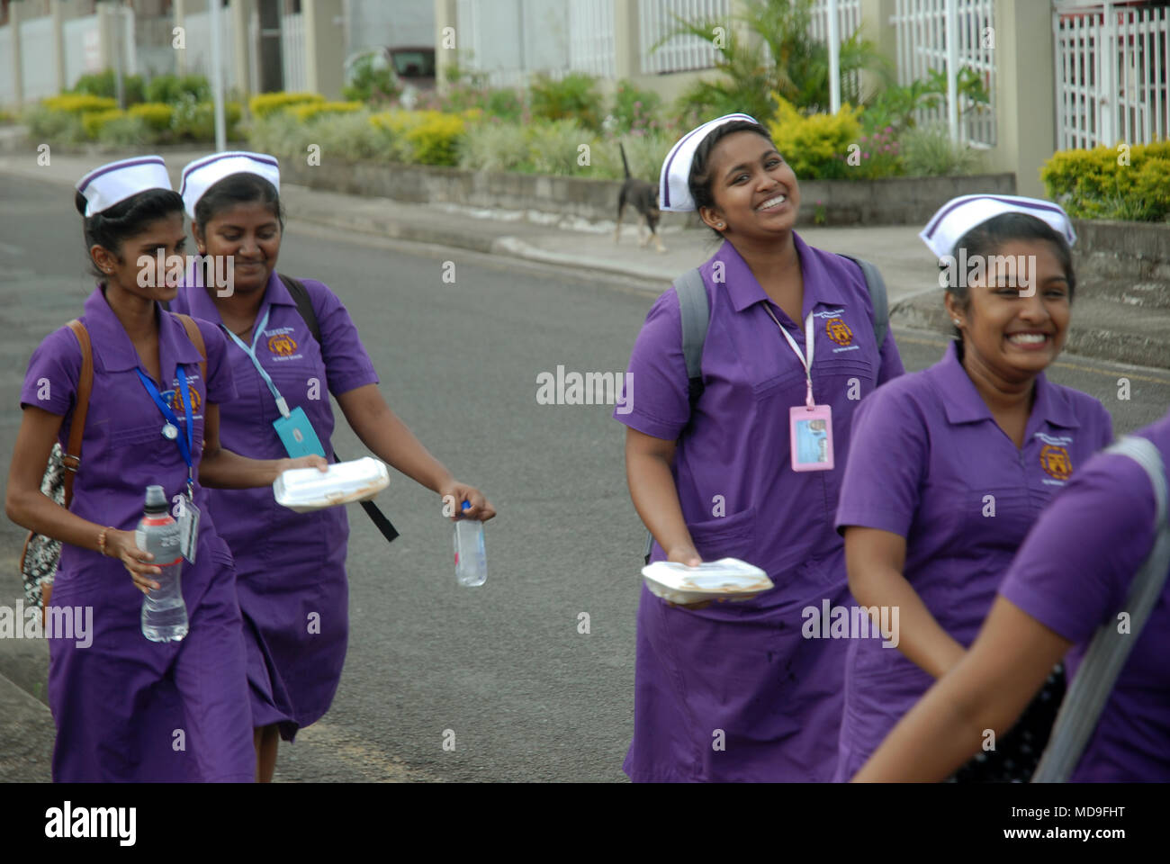 Nurses from Colonial War Memorial Hospital, Suva, Fiji Stock Photo Alamy