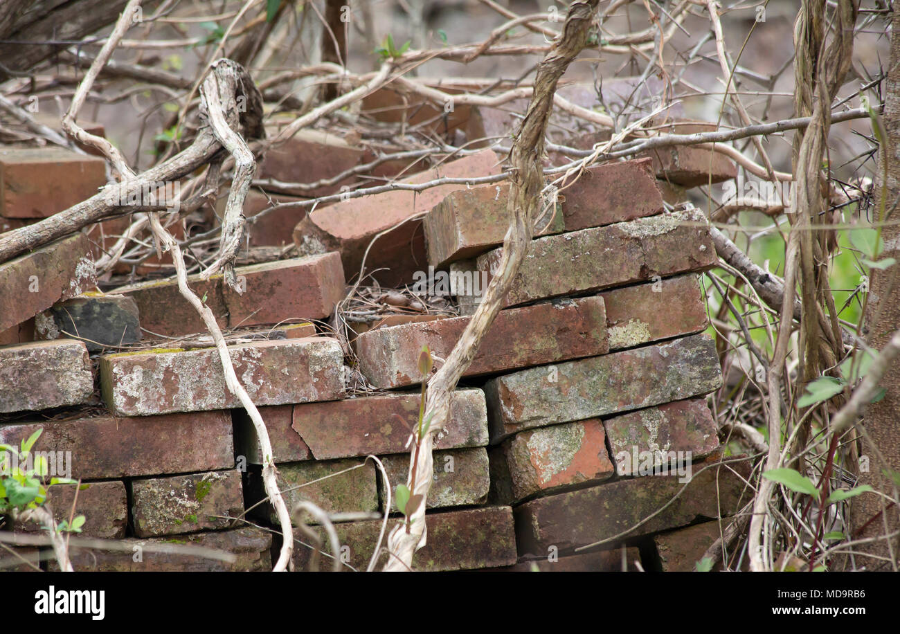 Stack of old bricks in an abandoned location Stock Photo