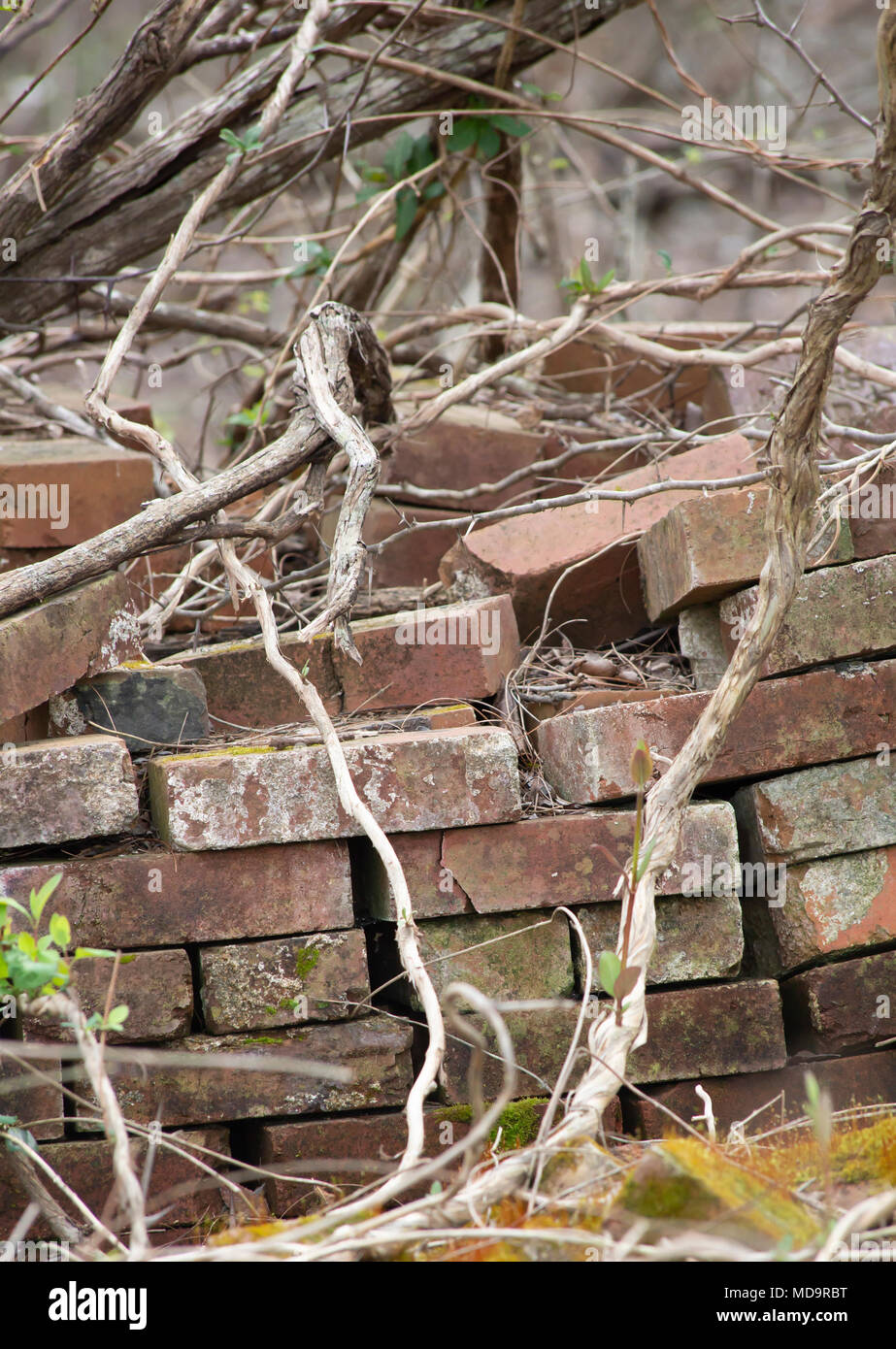 Stack of old bricks in an abandoned location Stock Photo