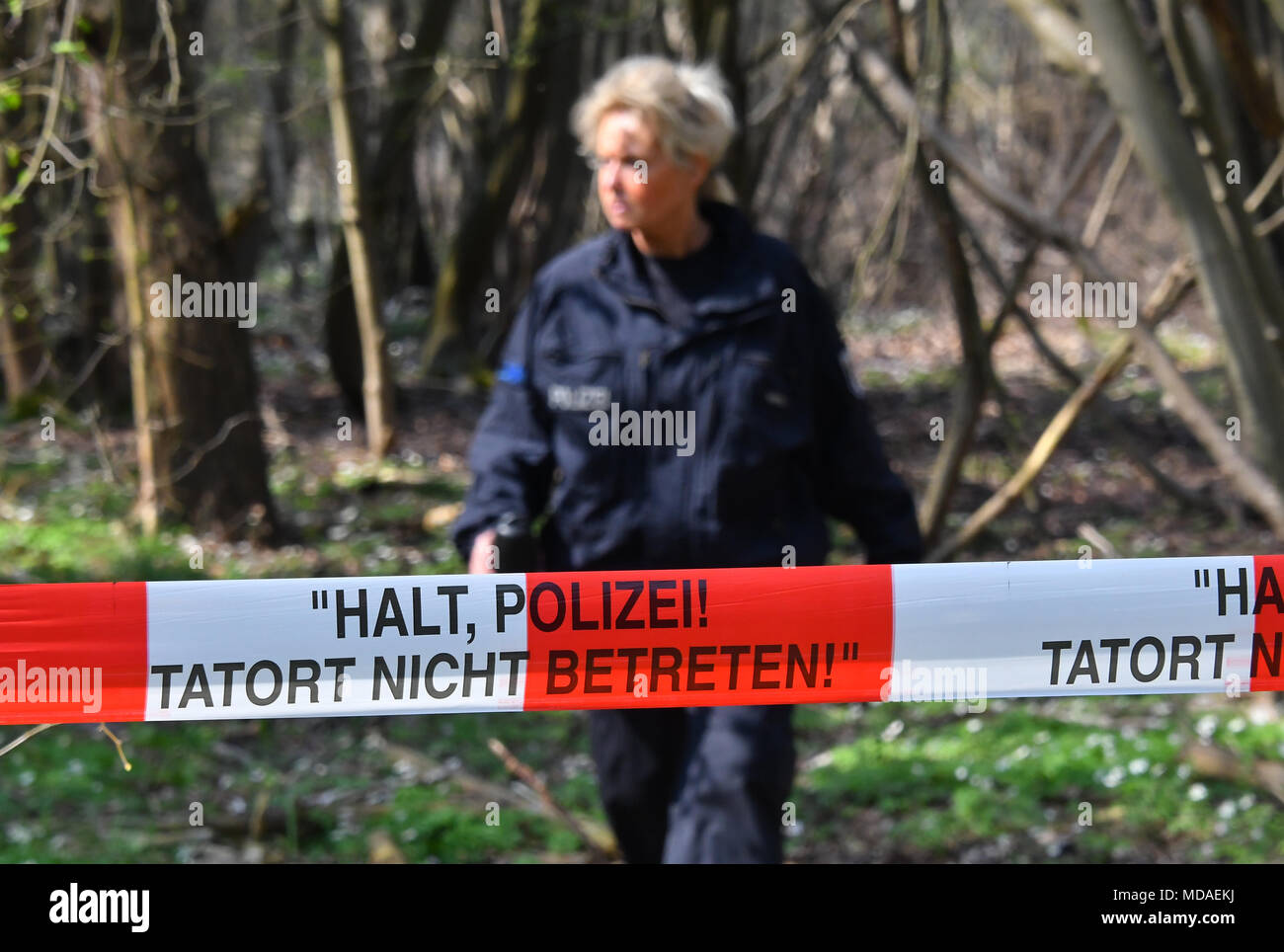 19 April 2018, Germany, Brieselang: A police officer searches a forest ...