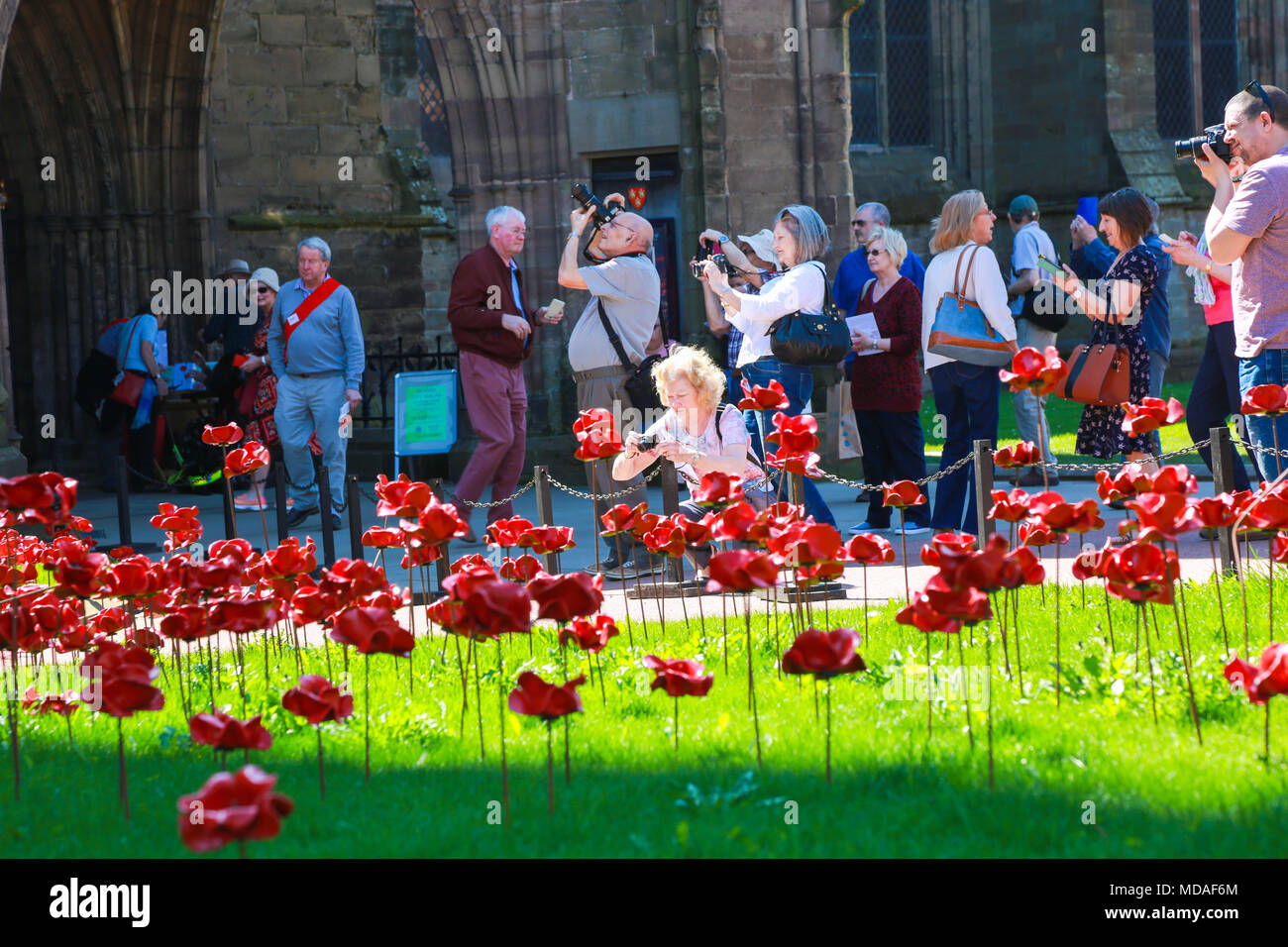 Visitors to the Weeping Window sculpture of poppies at Hereford cathedral UK Stock Photo